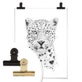 Poster Solti - Liebevoller Leopard 