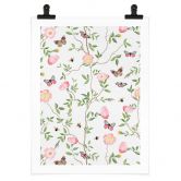 Poster Rosa Christrosen im Frühling - UN Designs 