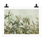 Poster Tropische plantkunde - UN Designs 
