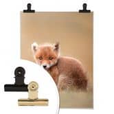 Plakat - van Duijn - Baby fox 
