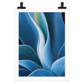 Poster Wechsler - Pflanzen Stillleben Agave 
