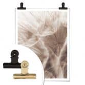 Poster Zarte Pusteblume 