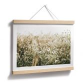 Poster Sommerwiese mit Kamille - Annie 