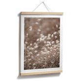 Poster Zarte Gräser im Herbstlicht - Collins 