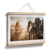 Natur Poster Lichtstrahlen im Wald - Eisenmann 