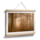 Poster Dunst und Licht im herbstlichen Wald - Maier 
