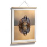 Poster Eichhörnchen am Wasser - van Duijn 