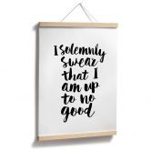 Spruch Poster I solemnly swear - Wilson 