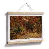 Poster Wisinger-Florian - Falling leaves 