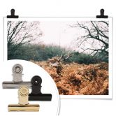 Poster Im Wald 