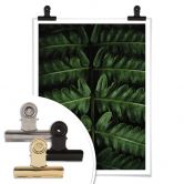 Poster Botanical 02  