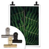 Poster Botanical 03 