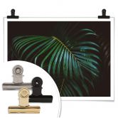 Poster Botanical 04 