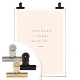 Poster - I never dreamed of Succes 