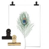 Poster - Pfauenauge 