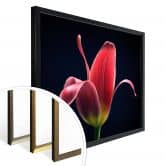 Poster Grønkjær - First Tulip 