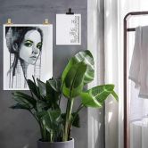 Poster Green Eyeshadow 