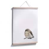 Poster Kleiner Spatz 