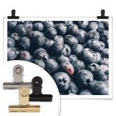 Poster Heidelbeeren 