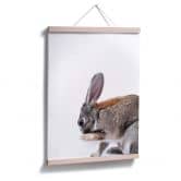Premiumposter - Lepus 