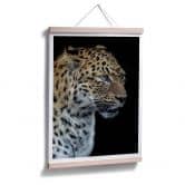 Poster Dambreville - Neugieriger Jaguar 