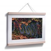 Poster Amer - Der Blick von oben: Kurven im Wald 