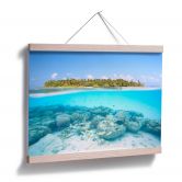 Poster Colombo - Unterwasserwelt der Malediven 