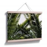 Poster Dattelpalme 