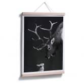 Poster Graves - Deer and Rabbit 