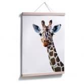 Poster Graves - Giraffe 