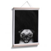 Poster Graves - Snuggle Pug 