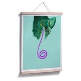 Poster Loose - Candy Chameleon 