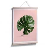 Poster Loose - Monstera Ant 
