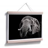 Poster Meermann - Der Elefant 