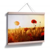 Poster Sonnenflut im Mohnfeld 