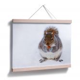 Poster - Eichhörnchen 04 