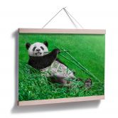 Poster Ben Heine - Glücklicher Panda 