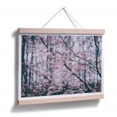 Poster Pink Flower Dream 03 
