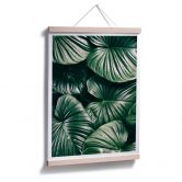 Affiche - Urban Jungle - Alokasie Calidora 