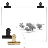 Poster Carrillo Lopez - Weiße Landschaft mit Bäumen 
