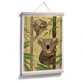 Poster Braun - Koala 