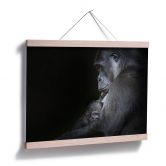 Poster Cuadrado - Tenderness 