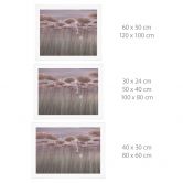Poster Lotusblumen mit Schwan im Wasser in Altrosa - Ms Tiff 