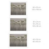 Poster Lotusblumen mit Schwan im Wasser in Grau - Ms Tiff 