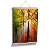 Poster - Goldener Herbst  