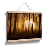 Poster Norim - Beauté des bois 