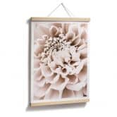Poster 1X Studio - Chrysantheme 