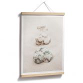 Poster 1X Studio - Meeresschnecken 