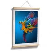 Poster Almawash - Der Papagei und das Farbenspiel 