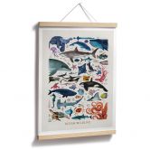 Poster Braun - Ocean Wildlife 